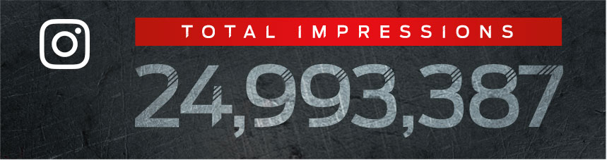 Instagram Total Impressions: 24,993,387